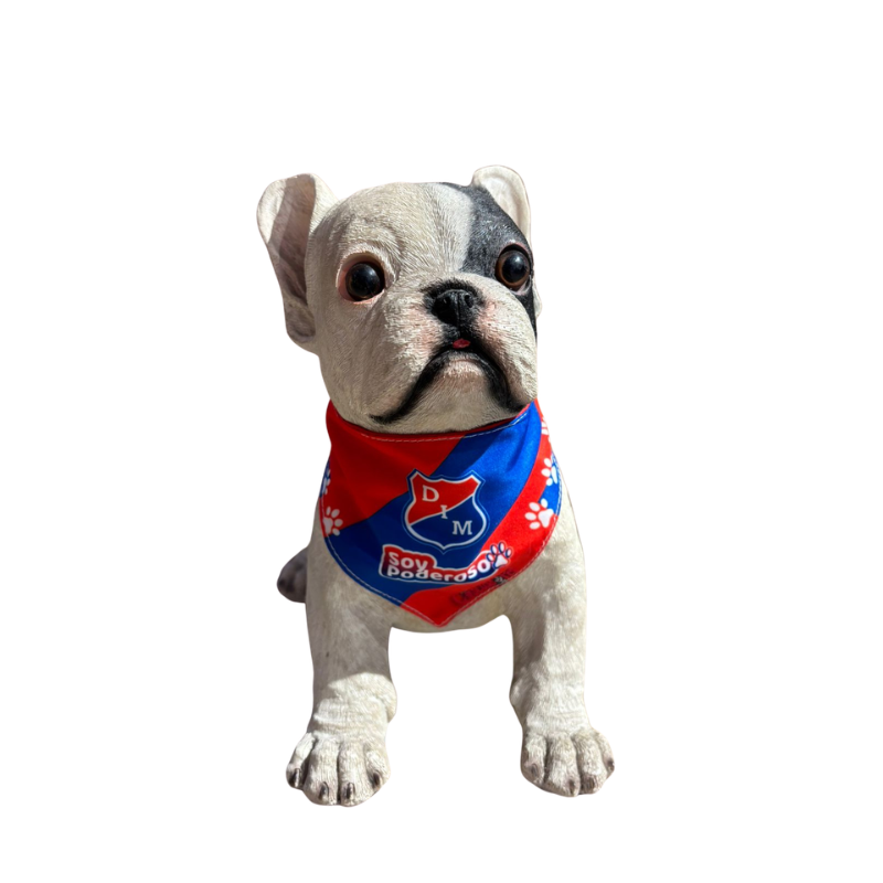 Pañoleta para Mascotas Deportivo Independiente Medellín – “Soy Poderoso”