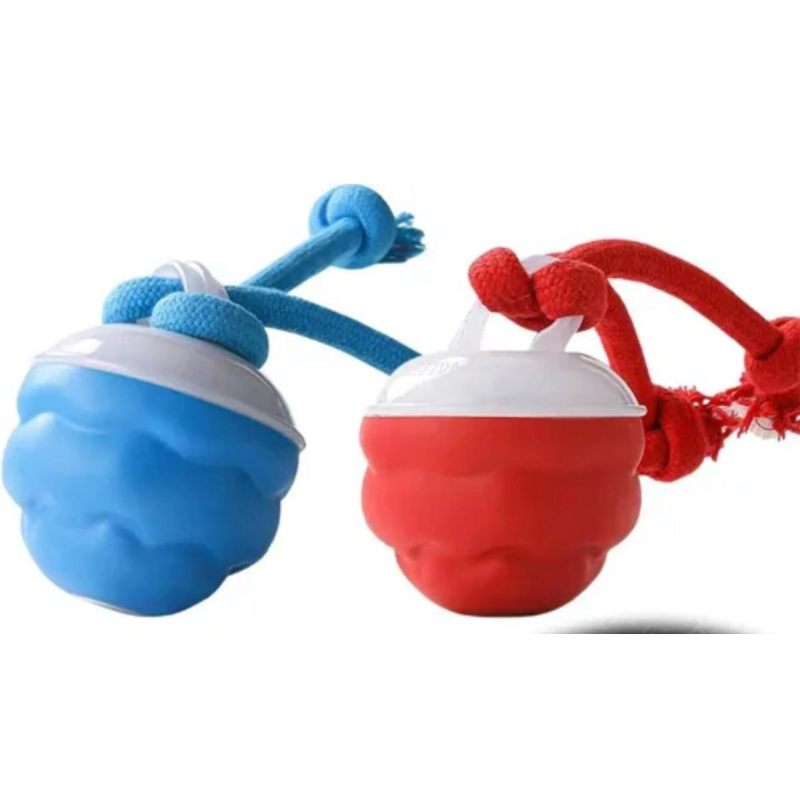 Juguete para Perro o Gato Interactivo Recargable Colores Surtidos