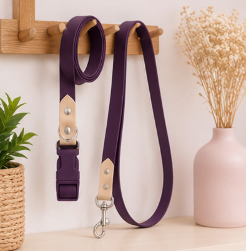 Collar + Traílla Talla M Impermeable Para Perros Medianos y Grandes