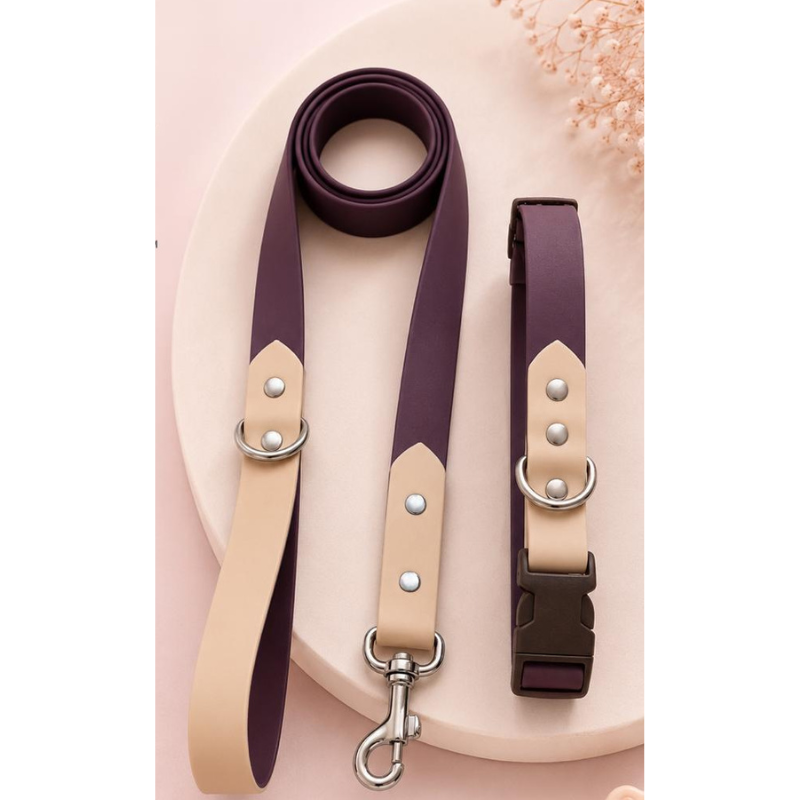 Collar + Traílla Talla M Impermeable Para Perros Medianos y Grandes