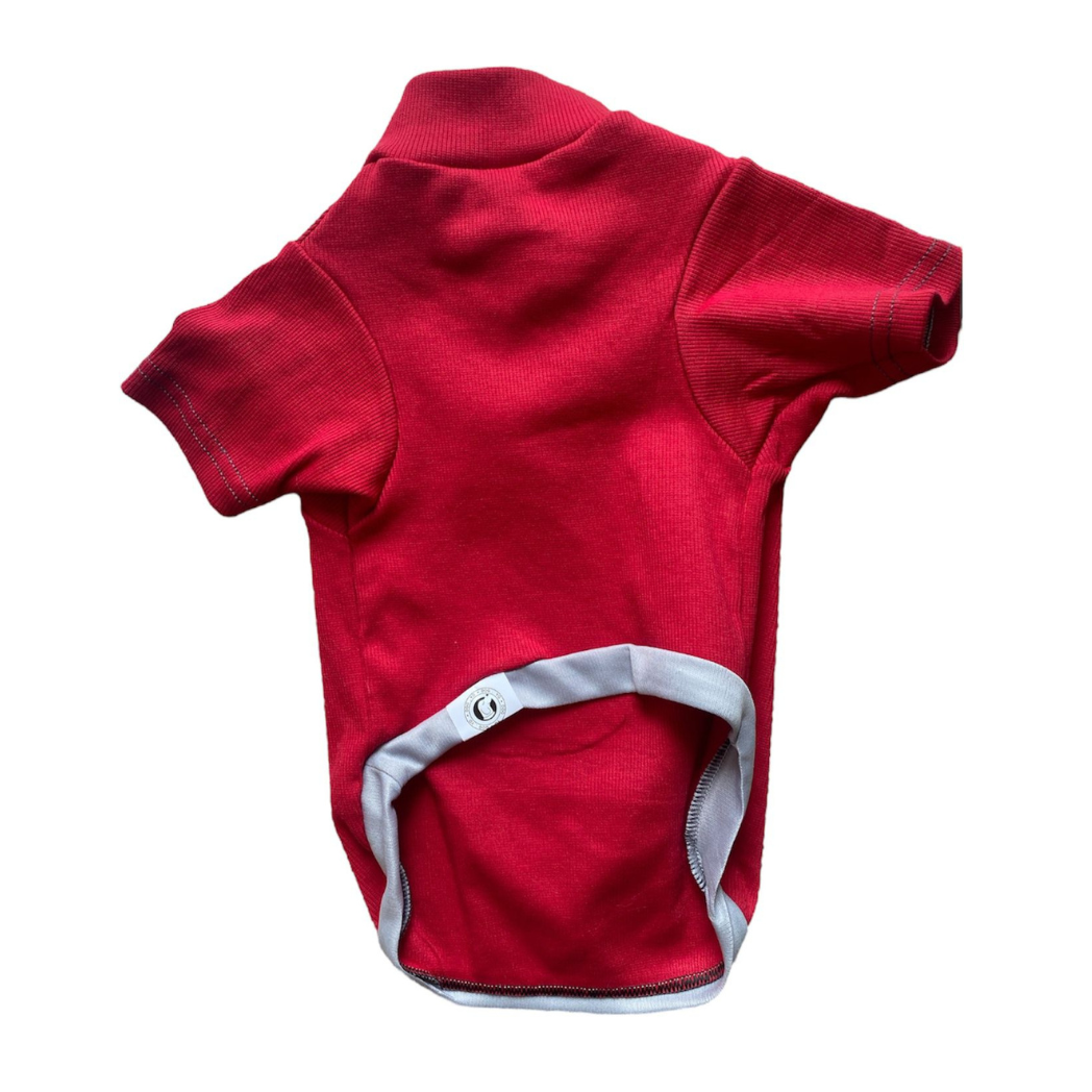 Buzo Para Perro O Perra Con Estampado Oso Ropa