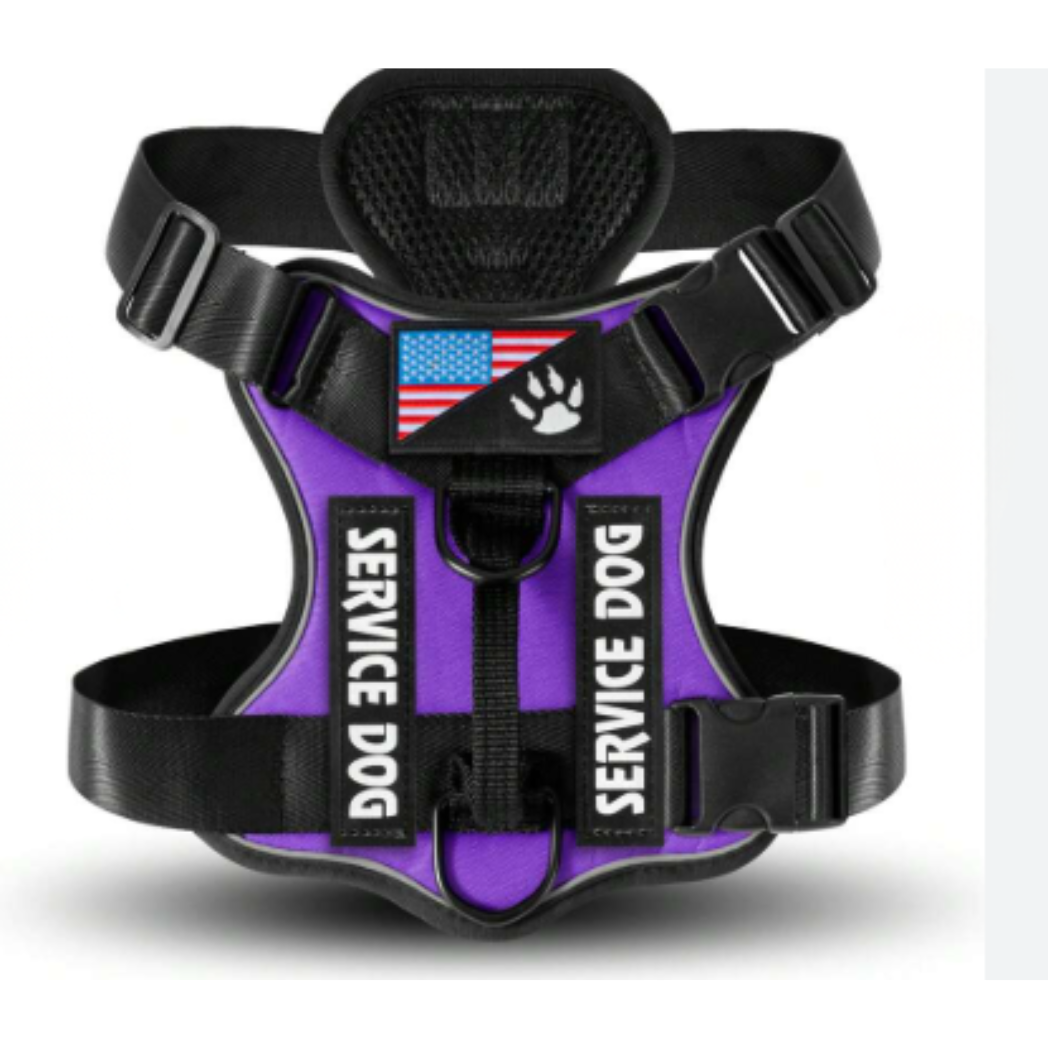 Arnés Pechera Con Traílla Service Dog Talla Xl Para Perros Grandes