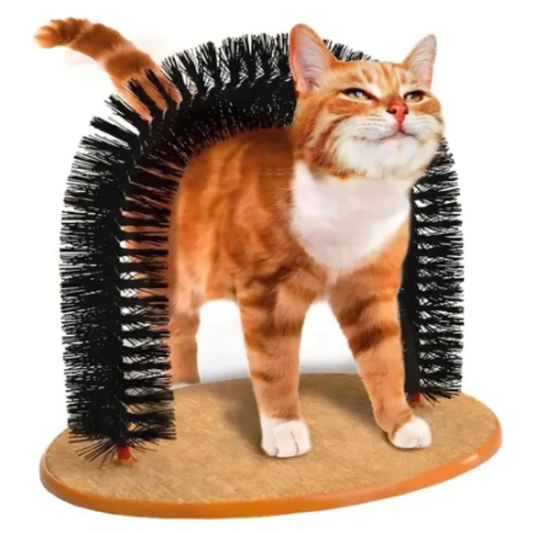 Juguete para Gato Rascador Con Arco De Cepillos Y Base Alfombrada