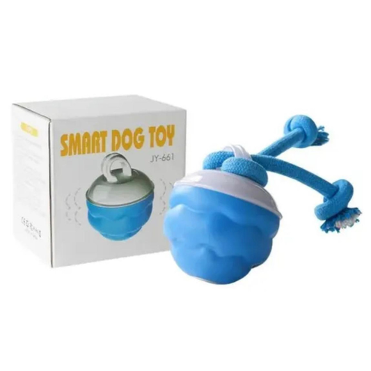 Juguete para Perro o Gato Interactivo Recargable Colores Surtidos