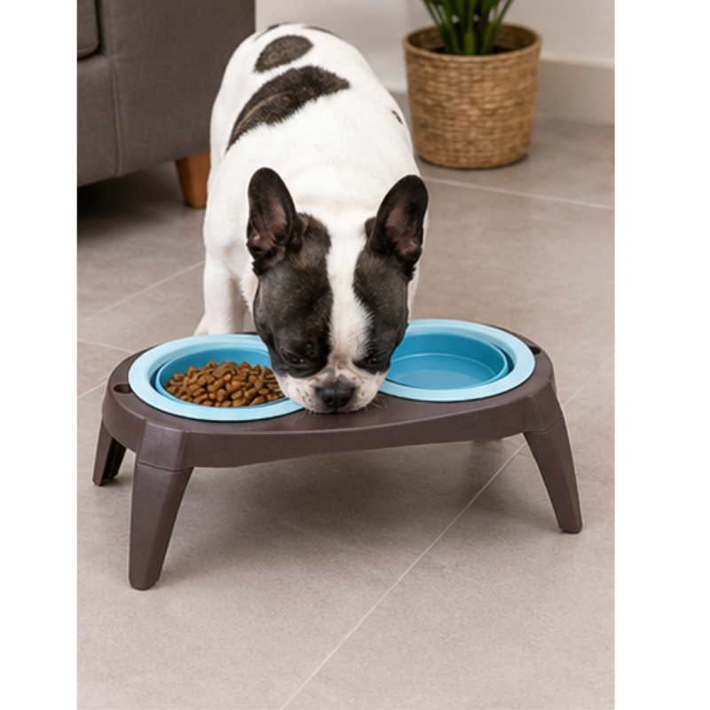 Comedero Doble Alto Plegable para Mascotas 12 cm