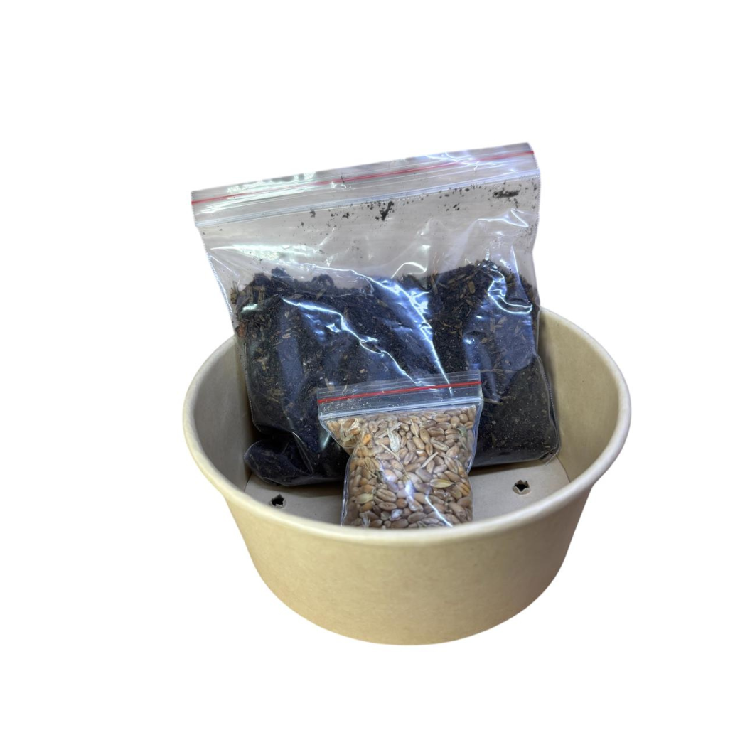 Snack Pasto De Trigo Para Perros, Gatos, Conejos Y Haámsters