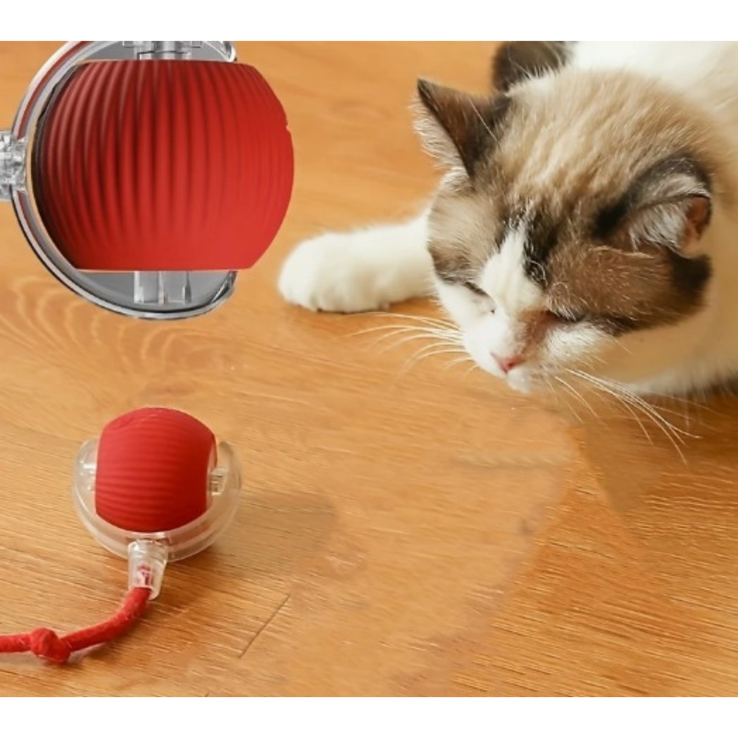 Juguete para Gato Pelota Interactiva Giratoria Inteligente  Recargable Con Luz