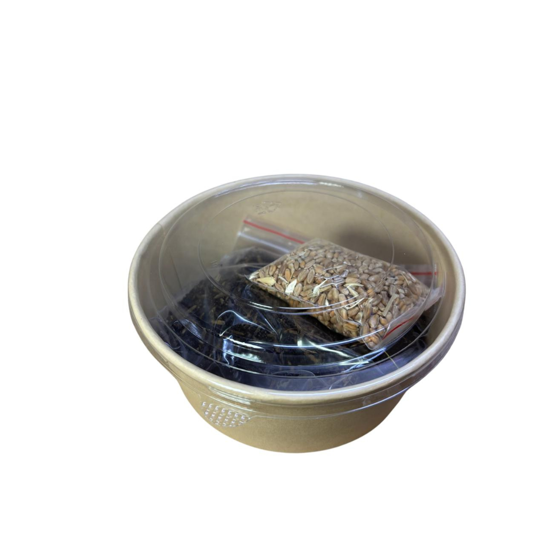 Snack Pasto De Trigo Para Perros, Gatos, Conejos Y Haámsters