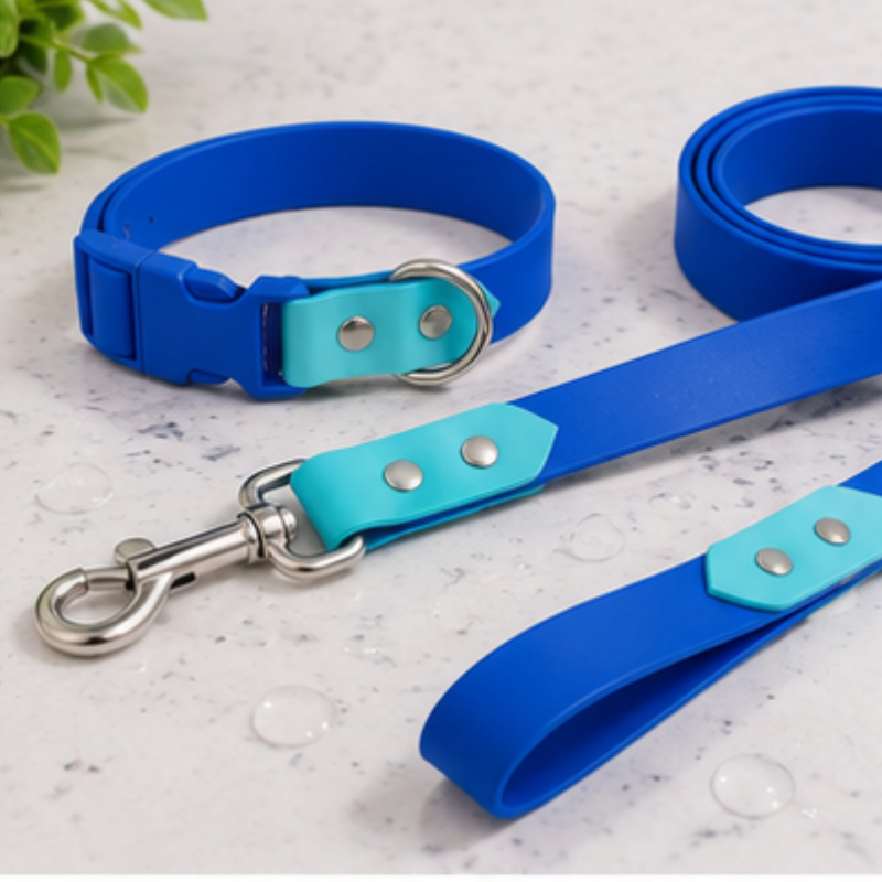 Collar + Traílla Talla M Impermeable Para Perros Medianos y Grandes