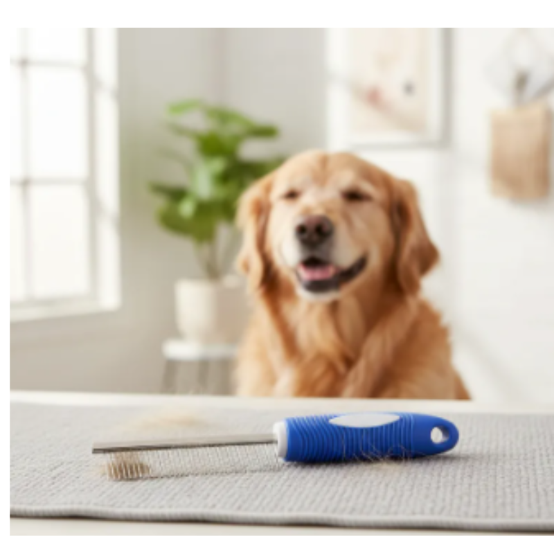 Cepillo Peinilla Para Mascotas Con Mango De Goma