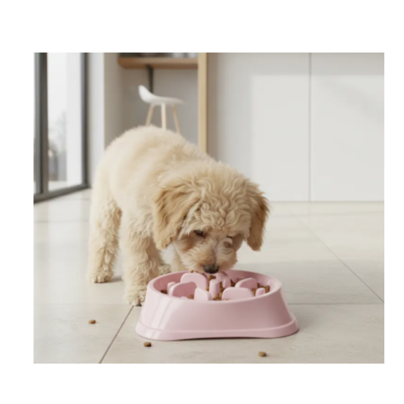 Comedero Lento Antireflujo Para Mascotas 17 Cm Diámetro