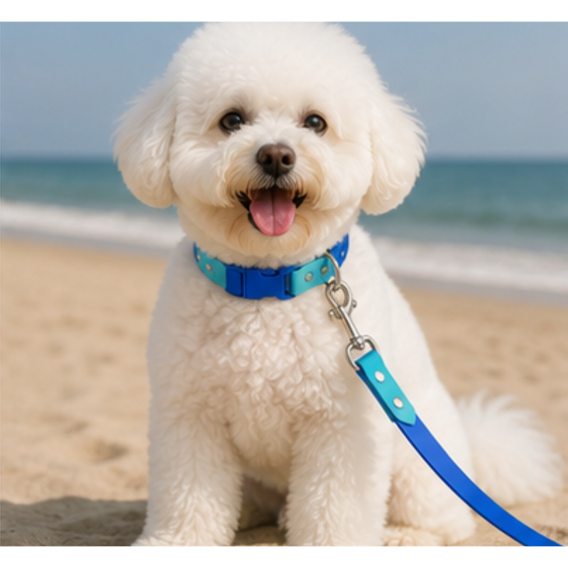 Collar + Traílla Talla M Impermeable Para Perros Medianos y Grandes