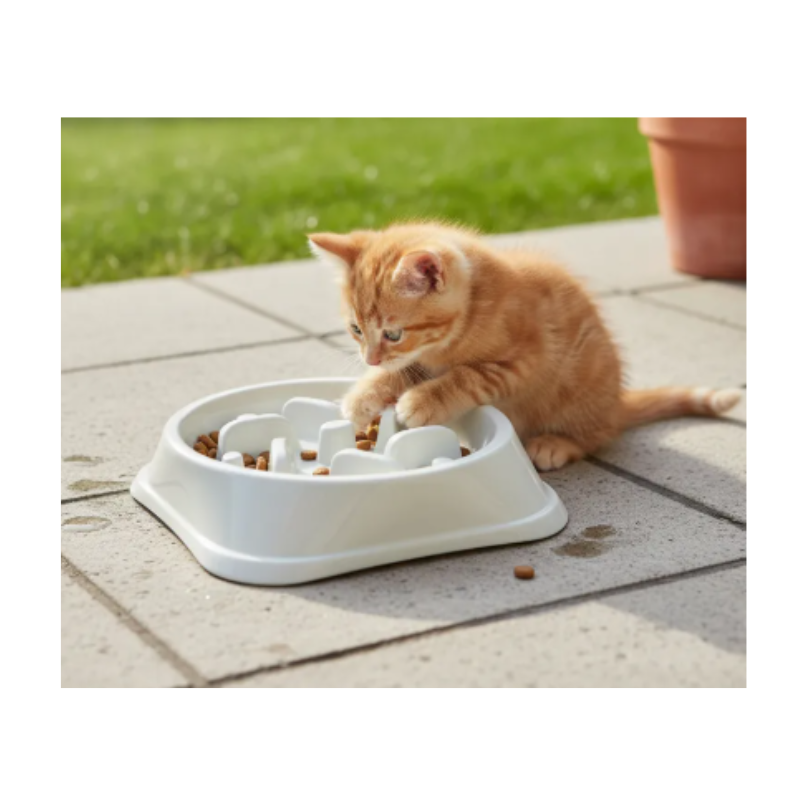 Comedero Lento Antireflujo Para Mascotas 17 Cm Diámetro