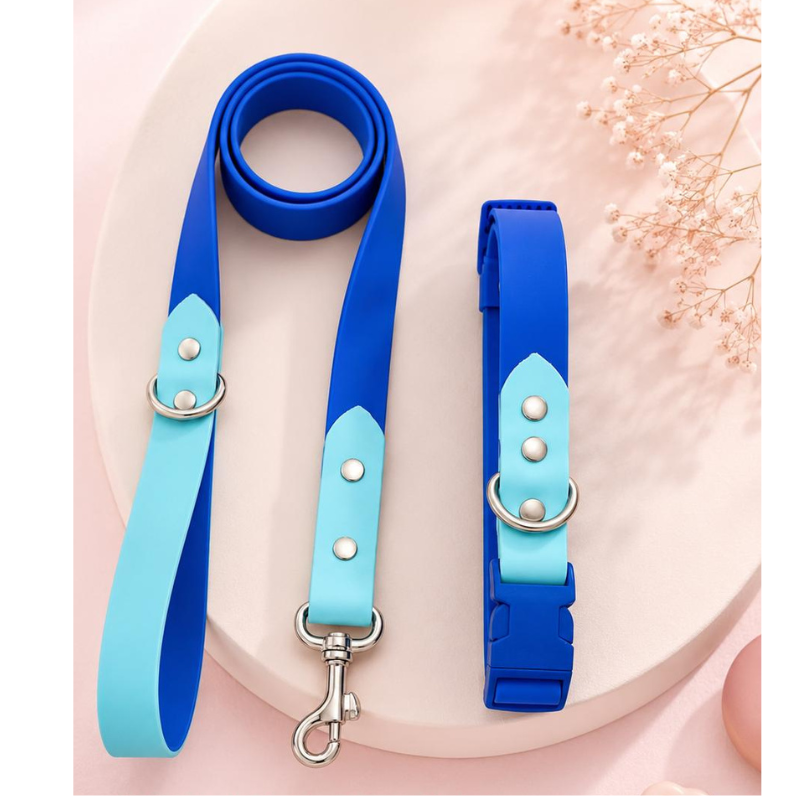 Collar + Traílla Talla M Impermeable Para Perros Medianos y Grandes