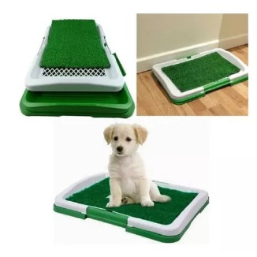 Sanitario Baño Entrenador Canino Pequeño 46x34x4 Cm Aseo