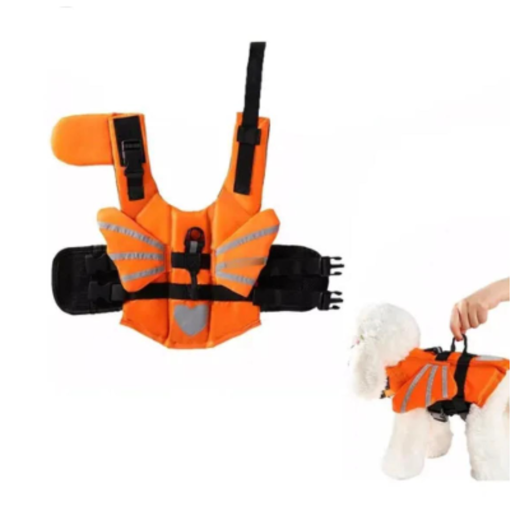 Chaleco Salvavida Para Perro Flotador