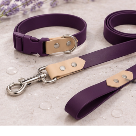 Collar + Traílla Talla M Impermeable Para Perros Medianos y Grandes